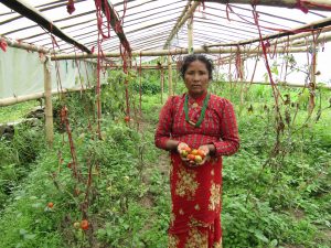 Nepal sustainable agriculture