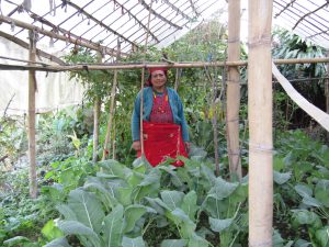 ETC women's group member in her thriving garden, 2019