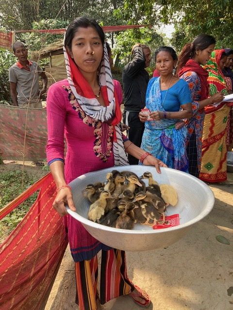 Ducklings distributed to women farmers