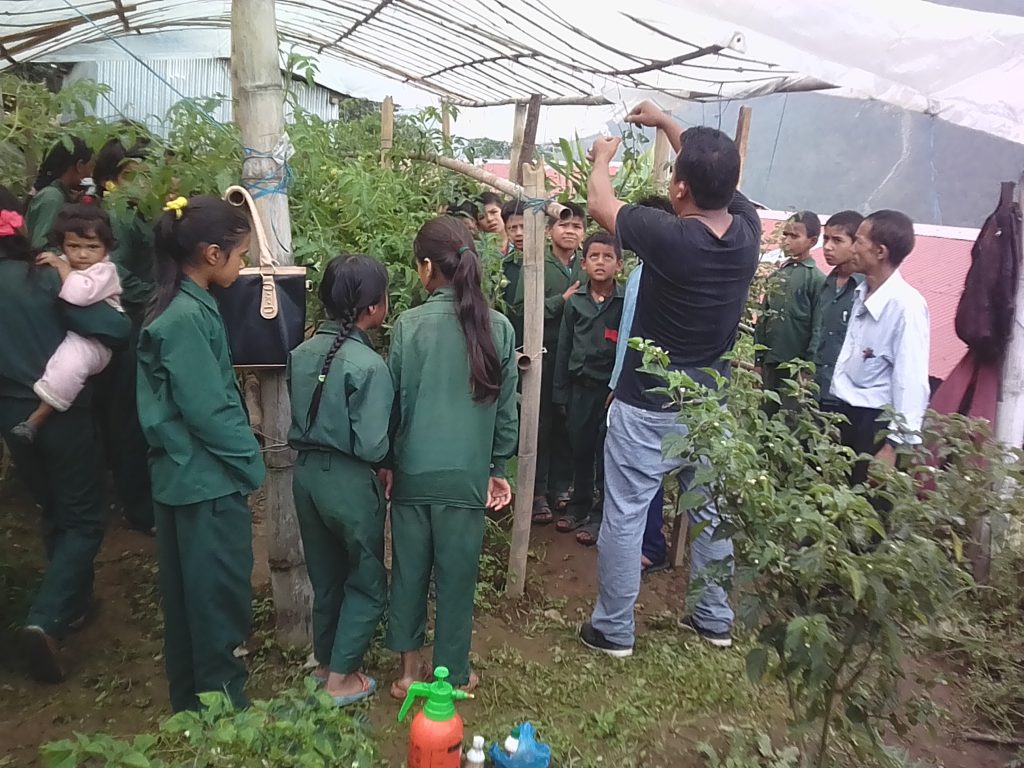 Agriculture in Schools lesson, Jan. 2018