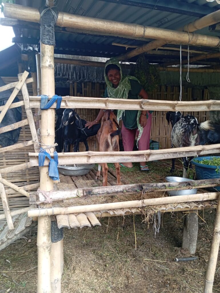 Better housing for goats